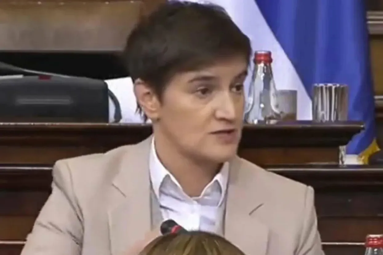 Ana Brnabić