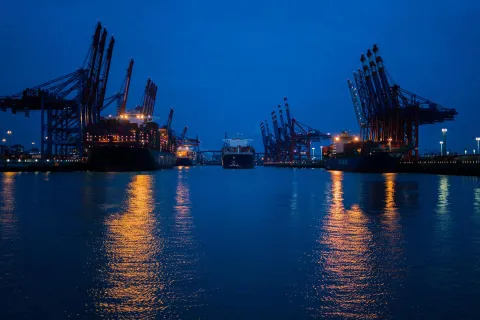 Hambur&scaron;ka luka