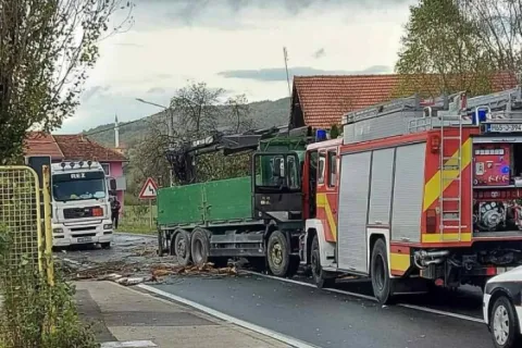 Bihać: Stablo palo na kabinu kamiona, poginuo vozač