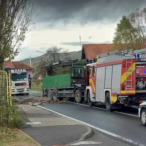 Bihać: Stablo palo na kabinu kamiona, poginuo vozač