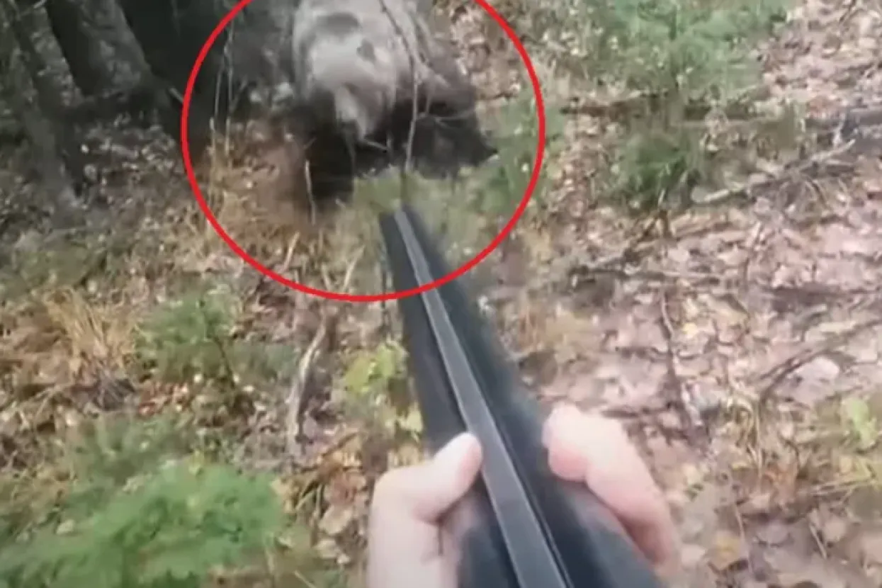 Susret lovca s medvjedicom