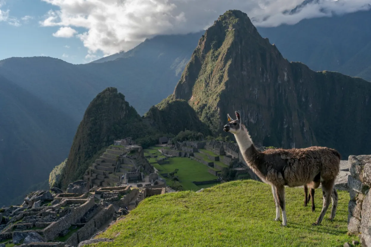 Machu Picchu