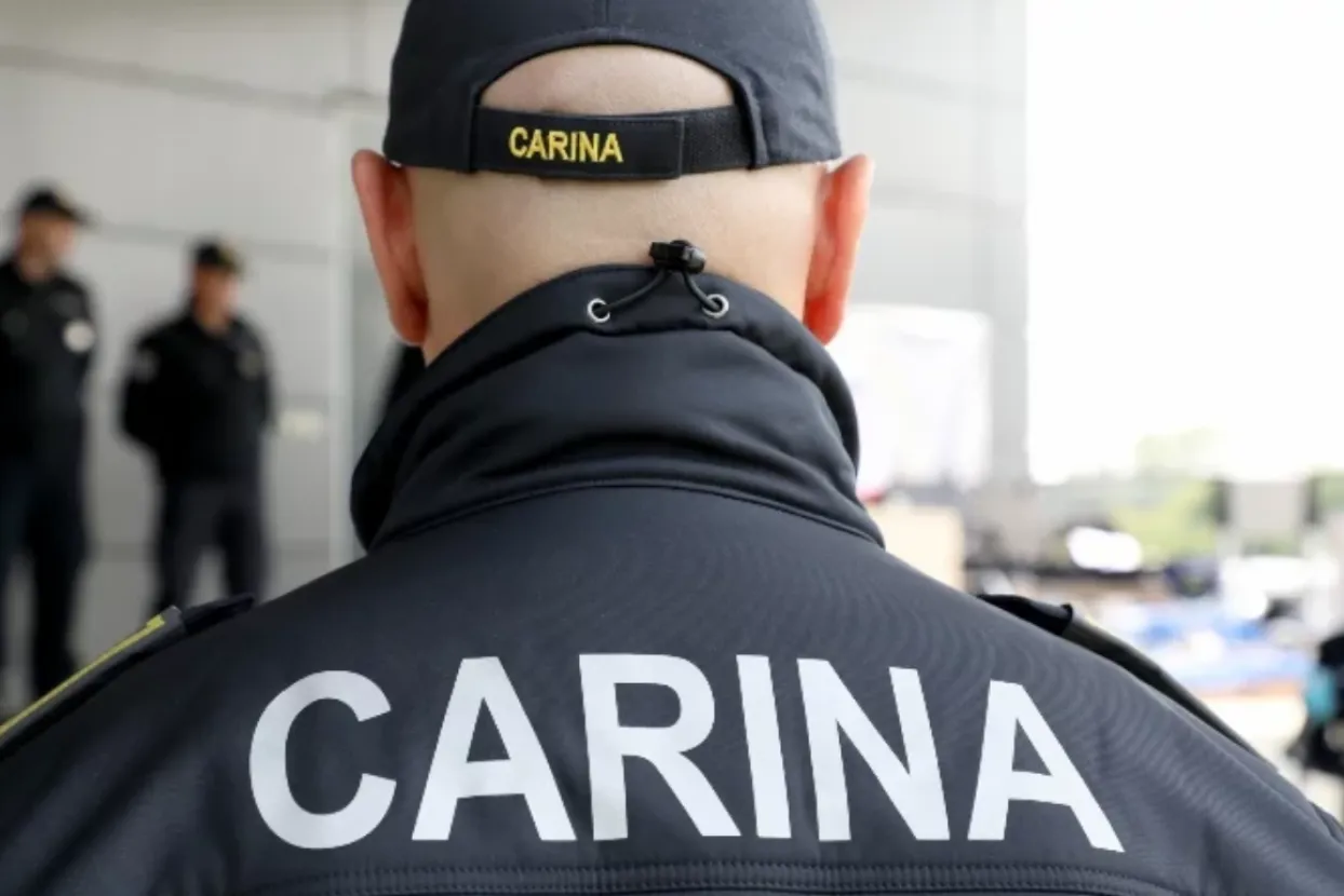 Carina (ilustracija)