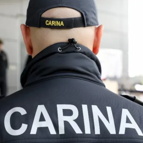 Carina (ilustracija)