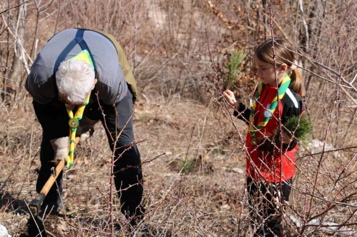 U akciji pošumljavanja na Rujištu posađeno 2.400 sadnica crnog bora