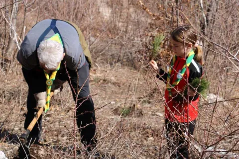U akciji pošumljavanja na Rujištu posađeno 2.400 sadnica crnog bora