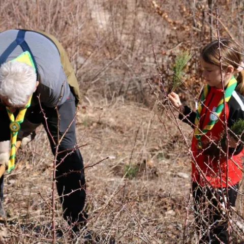 U akciji pošumljavanja na Rujištu posađeno 2.400 sadnica crnog bora