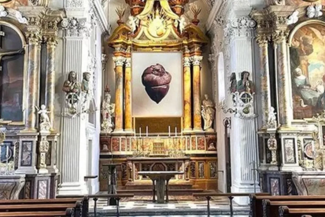 Fotografija sa svinjskim srcem