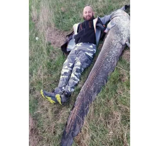 Na Bu&scaron;kom jezeru ulovljeni somovi dužine preko dva metra