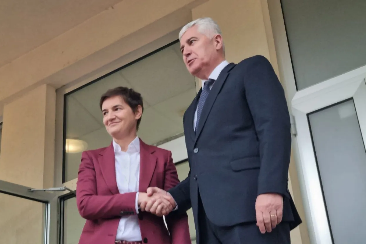 Brnabić i Čović