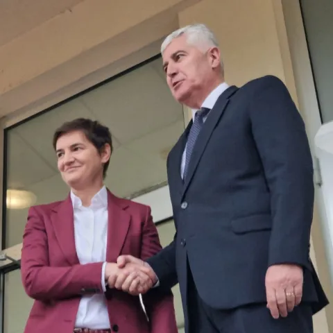 Brnabić i Čović