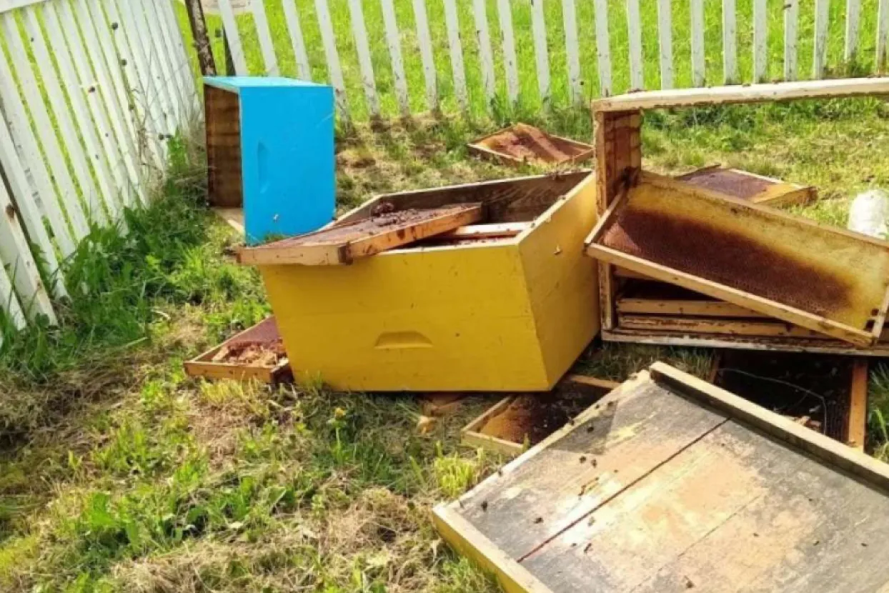 Uni&scaron;tene ko&scaron;nice