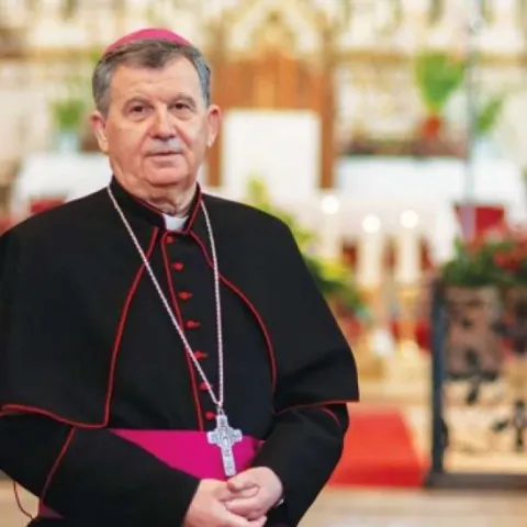 Vrhbosanski nadbiskup metropolita i predsjednik Biskupske konferencije BiH mons. Tomo Vuk&scaron;ić