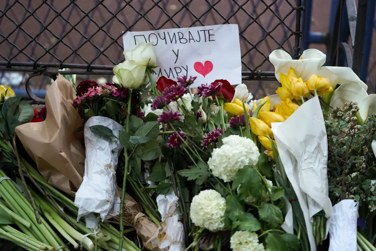 Masovno ubojstvo u beogradskoj &scaron;koli "Vladislav Ribnikar"