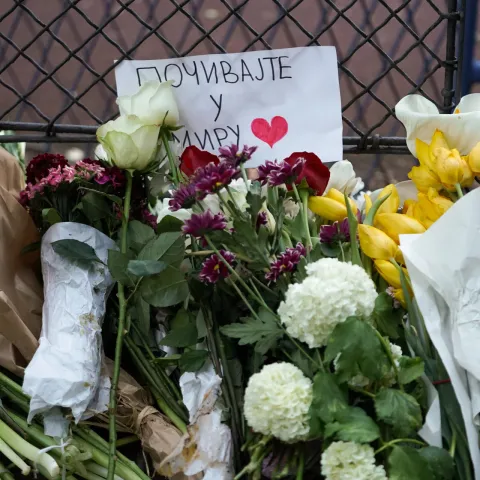 Masovno ubojstvo u beogradskoj &scaron;koli "Vladislav Ribnikar"