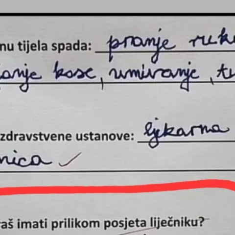 Odgovor osnovnoškolca nasmijao Hrvatsku