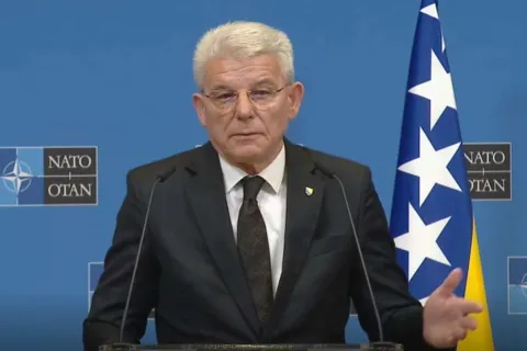 &Scaron;efik Džaferović