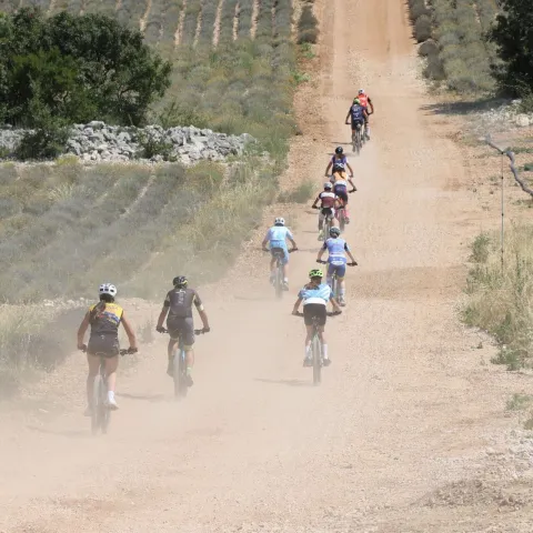 ČAPLJINA, 16. lipnja (FENA) - Biciklistička MTB utrka "XCM NARENTAS 2024", u okviru koje se održava i kolo premijer lige BiH, te kup Republike Hrvatske (RH), počela je u nedjelju na brdu hercegovačkog krša "Narentas" u Gabela Polju kod Čapljine.(Foto FENA/Mario Obrdalj)