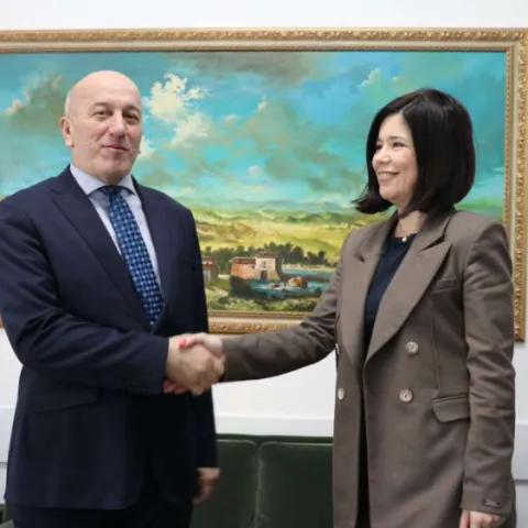 Ćulov i Bughač