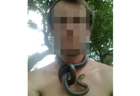 Simbad Bajrektarević