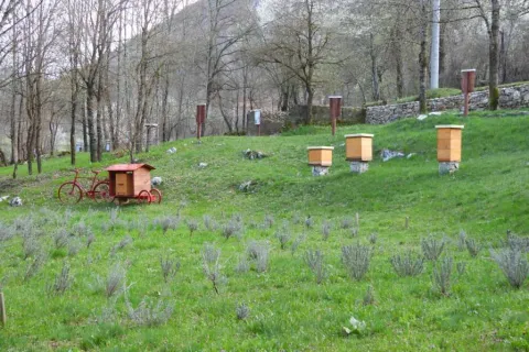 U Ćaiću kod Livna otvara se prvi Pčelarski park u BiH: Spoj tradicije, edukacije i api turizma 