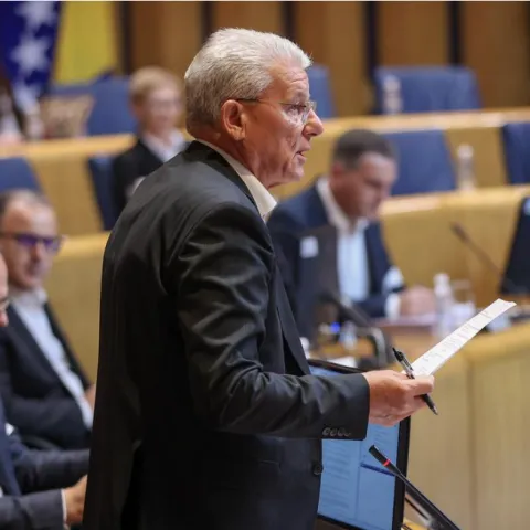 &Scaron;efik Džaferović