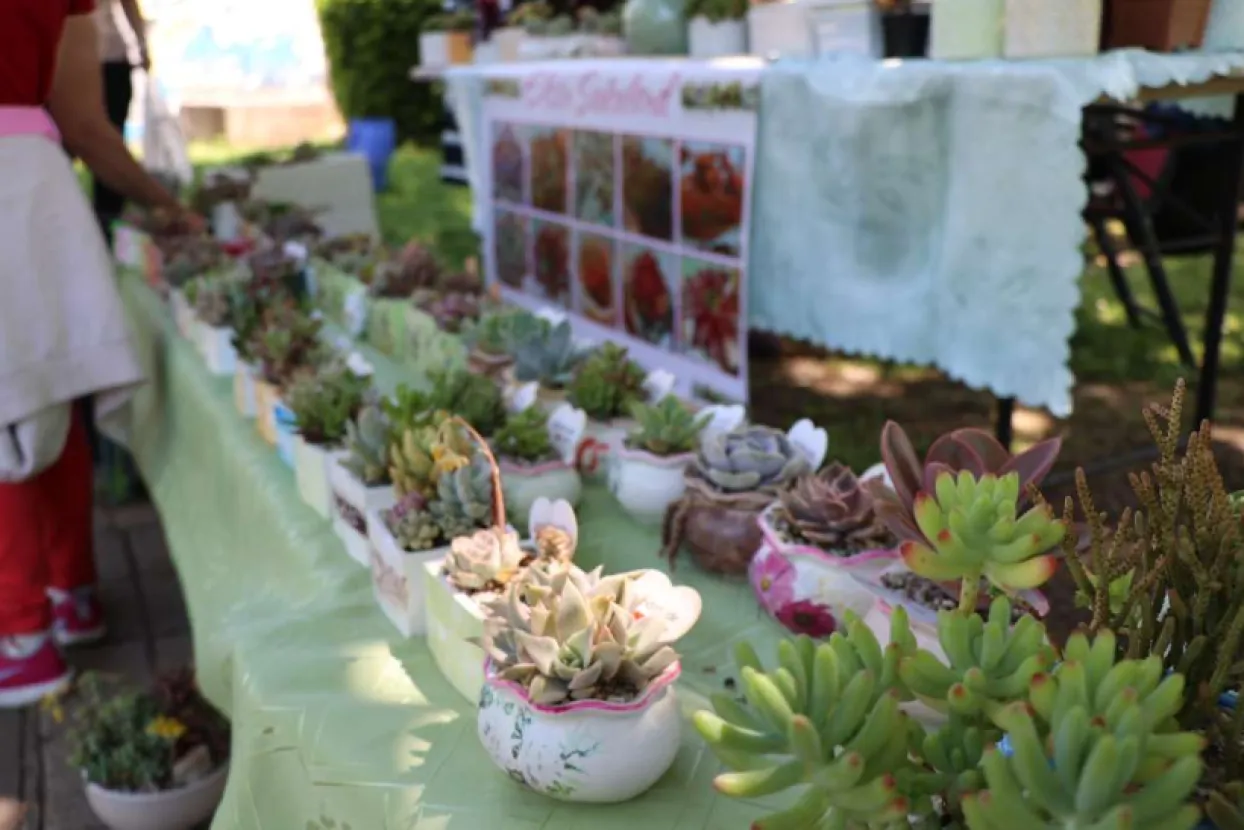 Festivala cvijeća u Mostaru