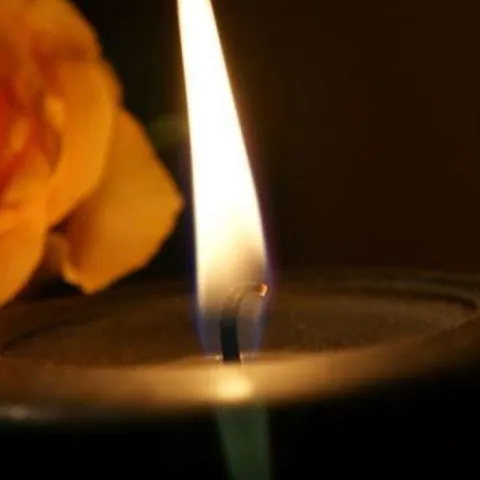 Dan žalosti (Ilustracija)