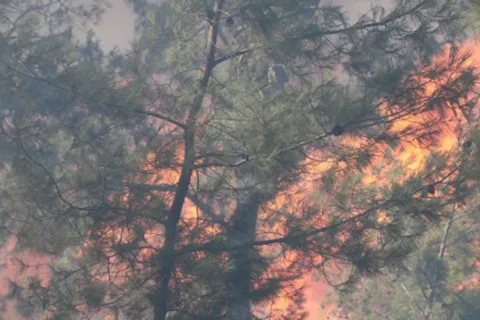 Požar (Ilustracija)