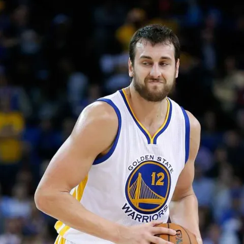 Andrew Bogut