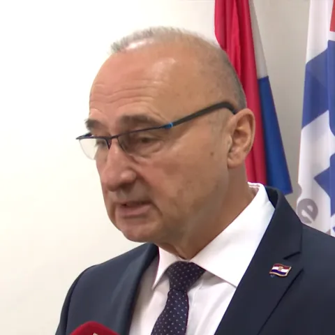 Gordan Grlić Radman