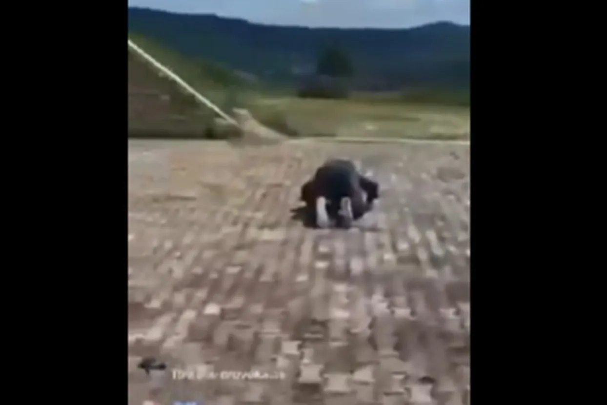 Snimka s Pješčare pokazuje skupinu muškaraca kako klanjaju na spomeniku poginulim Hrvatima, uz smijeh, prijetnje i uvrede