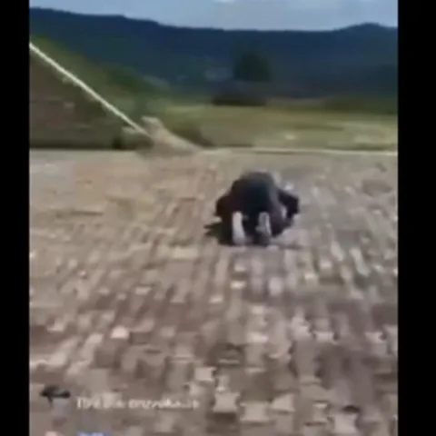 Snimka s Pješčare pokazuje skupinu muškaraca kako klanjaju na spomeniku poginulim Hrvatima, uz smijeh, prijetnje i uvrede