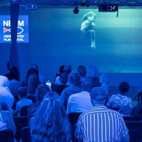 Neum Underwater Film Festival 