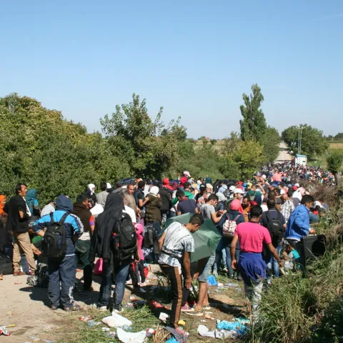 Migranti u Hrvatskoj