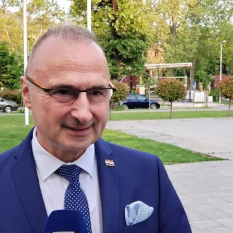 Gordan Grlić Radman