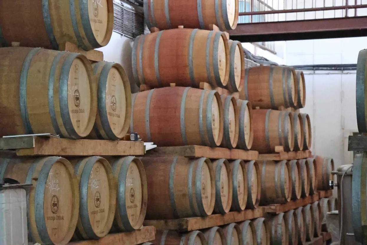 ДЊITLUK, 16. rujna (FENA) вЂ" Rujan je mjesec kada se u Brotnju i Hercegovini tradicionalno vrЕЎi berba groЕѕД'a (trganje), a da Д‡e ovo biti jedna od godina u kojoj Д‡e groЕѕД'a biti manje radi vremenskih neprilika i bolesti u razgovoru za Fenu potvrdio je i glavni enolog Vinarije ДЊitluk Tihomir Prusina.(Foto FENA/Mario Obrdalj)