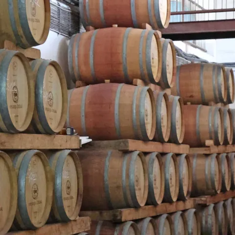 ДЊITLUK, 16. rujna (FENA) вЂ" Rujan je mjesec kada se u Brotnju i Hercegovini tradicionalno vrЕЎi berba groЕѕД'a (trganje), a da Д‡e ovo biti jedna od godina u kojoj Д‡e groЕѕД'a biti manje radi vremenskih neprilika i bolesti u razgovoru za Fenu potvrdio je i glavni enolog Vinarije ДЊitluk Tihomir Prusina.(Foto FENA/Mario Obrdalj)