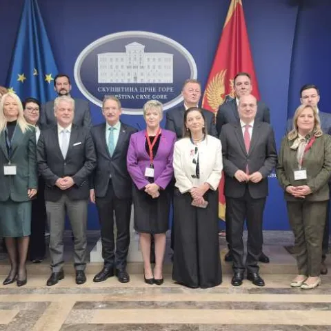 Regionalna konferencija pod nazivom "Uloga efikasnog parlamentarnog nadzora u unapređenju procesa pristupanja Evropskoj uniji (EU)", u Podgorici