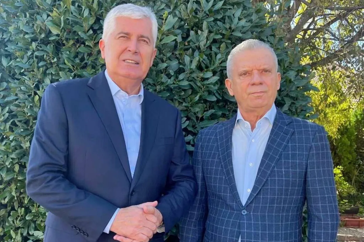 Čović i Radončić