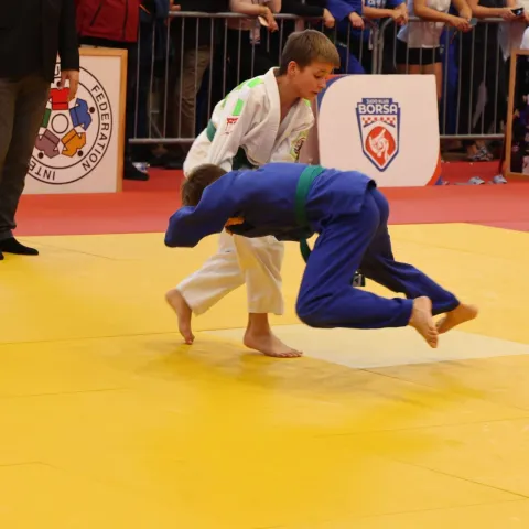 MOSTAR, 3. studenoga (FENA) – U Mostaru je u nedjelju svečano otvoreno ovogodišnje izdanje judo turnira Borsa Opena, najveće sportske manifestacije u Gradu na Neretvi na kojoj nastupa 1.153 natjecatelja iz 28 europskih država. (Foto FENA/ES)