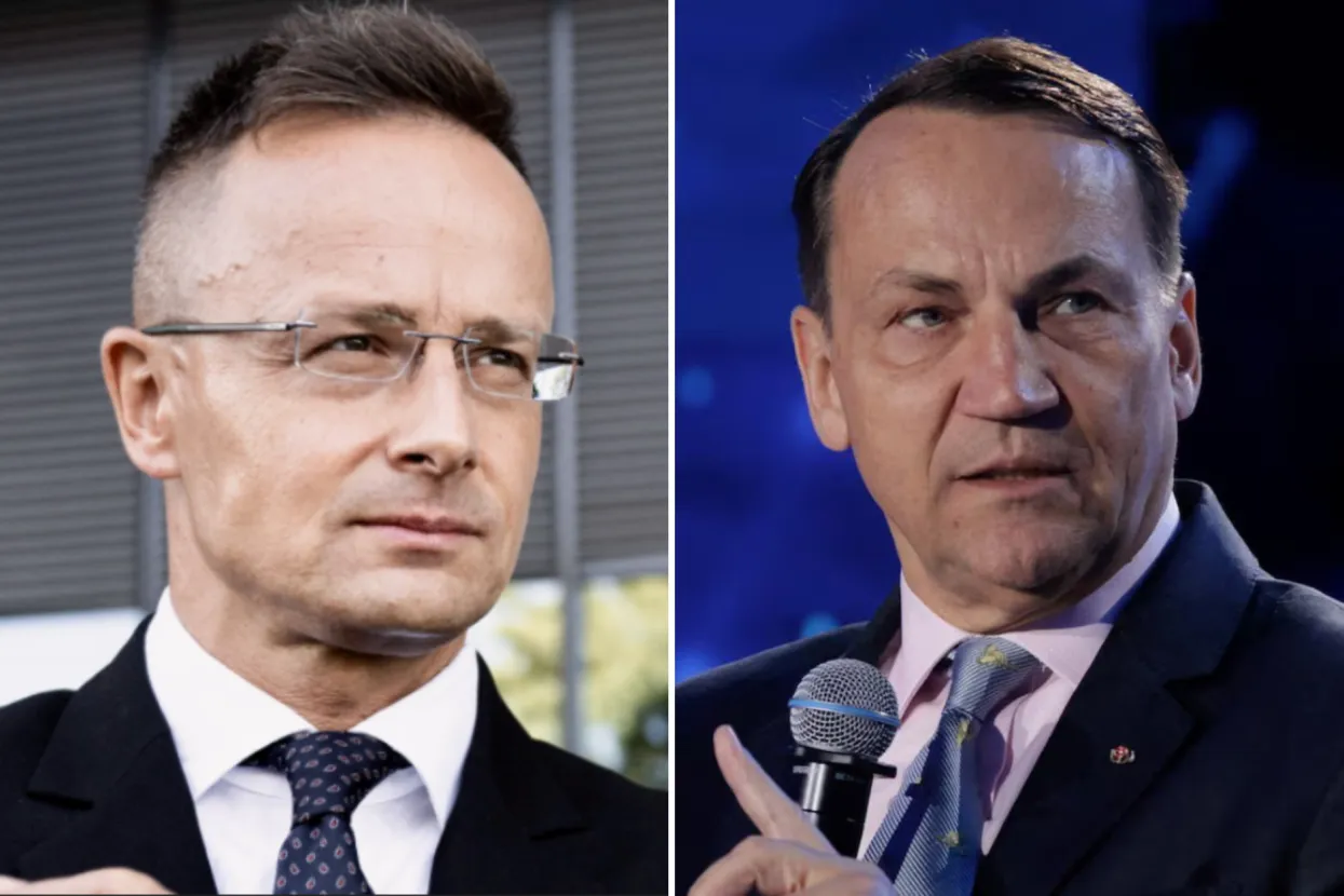 Szijjarto i Sikorski