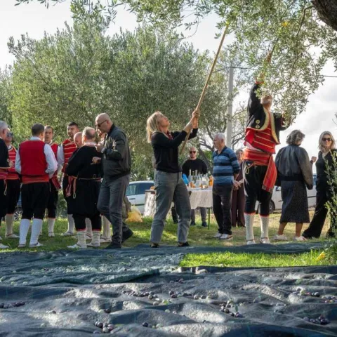 Zatvoreni 'Dani berbe maslina u Hercegovini': Prezentirano tradicionalno branje i prerada ulja 