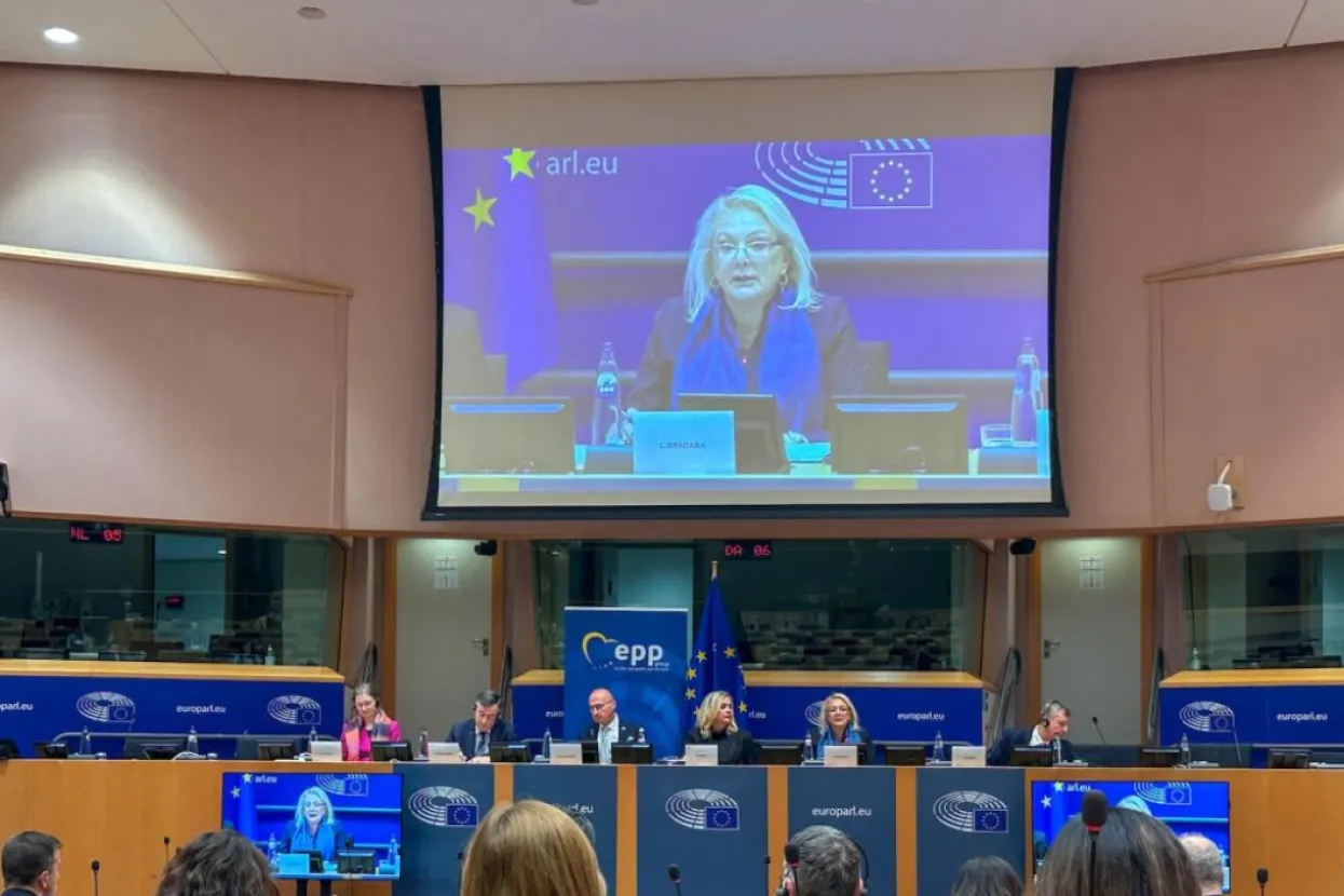 Lidija Bradara u EU Parlamentu
