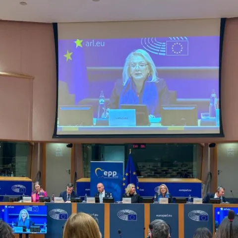 Lidija Bradara u EU Parlamentu
