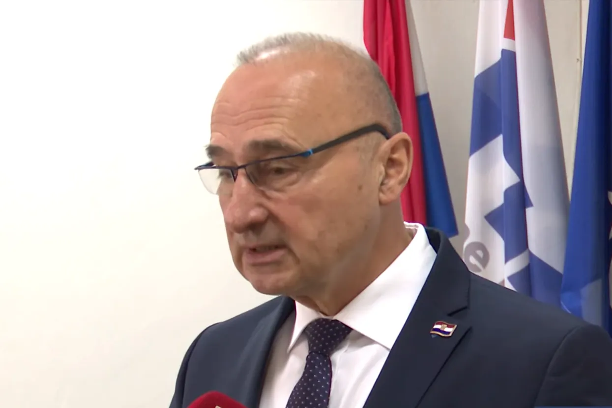 Gordan Grlić Radman