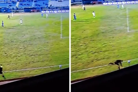 Pomoćni sudac ukrao show