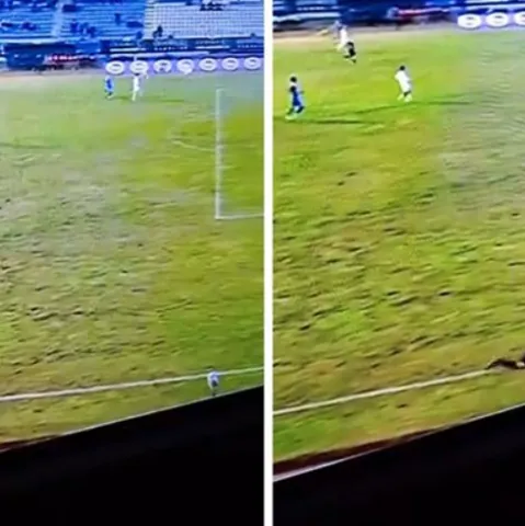 Pomoćni sudac ukrao show