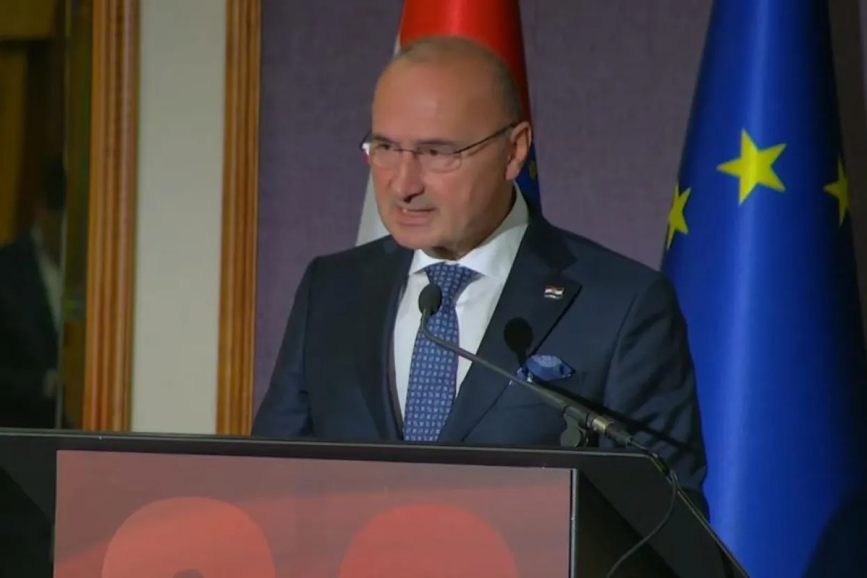 Gordan Grlić Radman