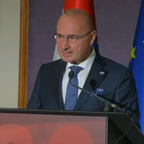 Gordan Grlić Radman